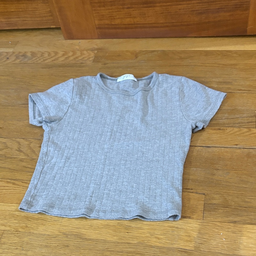 Casual Gray Ribbed Crop Top